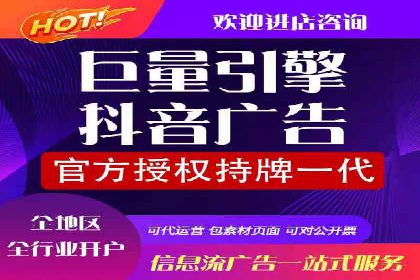 某行业领军企业的SEM广告投放策略